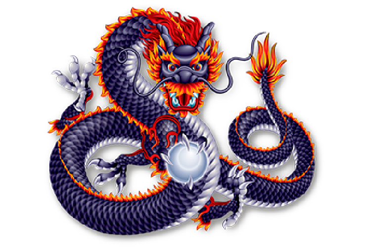Enjoy11 5 Dragons Online Gambling Games Terms & Conditions Icon