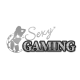 Casino Game Provider-Sexy Gaming