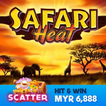 Play Safari Heat Scatter Slot Game