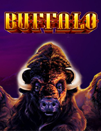 buffalo